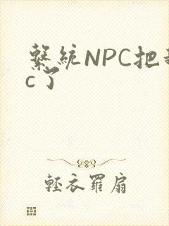 系统NPC把我c了