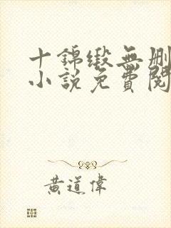 十锦缎无删原著小说免费阅读