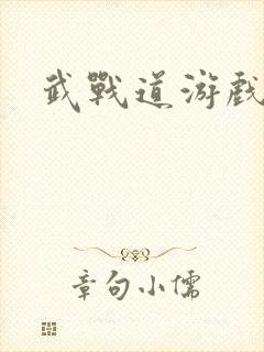 武战道游戏
