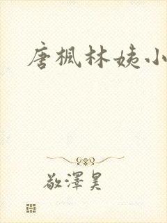 唐枫林姨小说