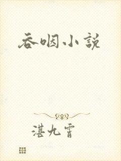 吞咽小说封面