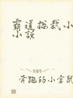 霸道总裁小娇妻小说