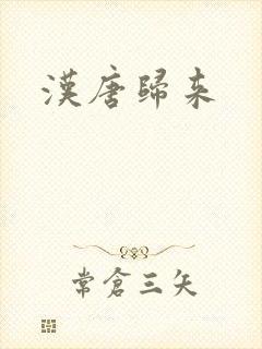 汉唐归来
