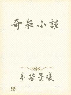 奇米小说封面