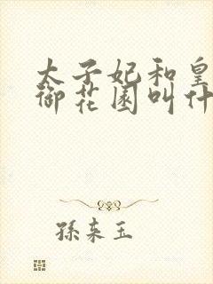 太子妃和皇帝在御花园叫什么小说