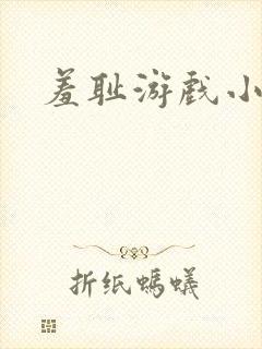 羞耻游戏小说