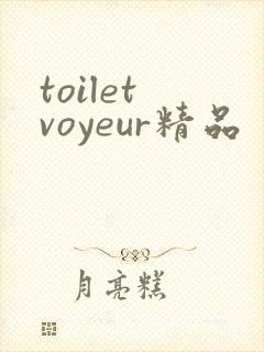 toilet voyeur精品