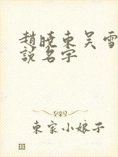 赵晓东吴雪晴小说名字