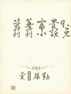 荣华富贵9小王莉莉小说免费阅读封面