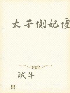太子侧妃傻乎乎