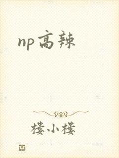 np高辣
