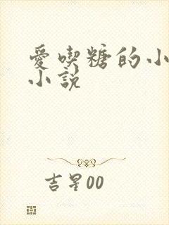 爱吃糖的小麻雀小说封面