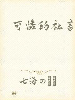 可怜的社畜小说封面