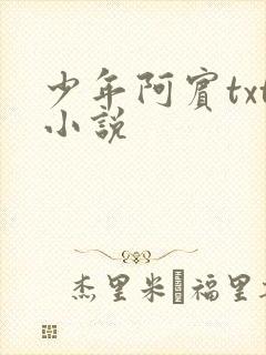 少年阿宾txt小说