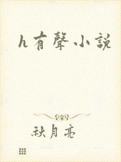 h有声小说