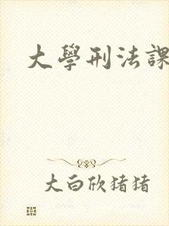 大学刑法课