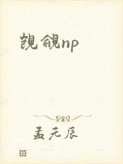 觊觎np