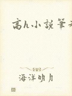 高h小说笔趣阁