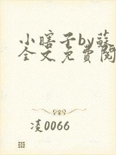 小瞎子by苏软全文免费阅读