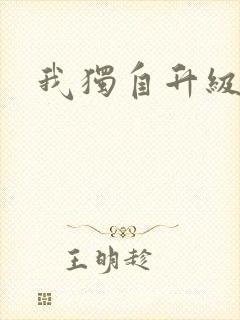 我独自升级小说