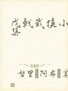 戊戟武侠小说全集