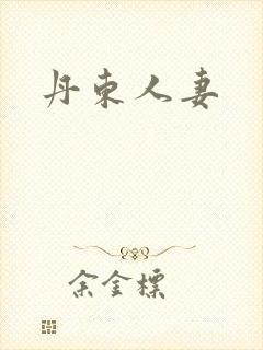 丹东人妻封面