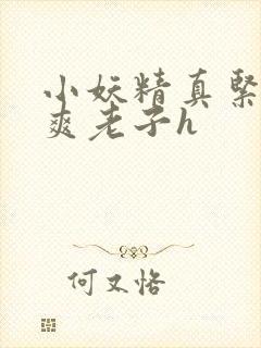 小妖精真紧h嘶爽老子h封面