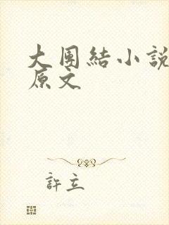 大团结小说阅读原文封面