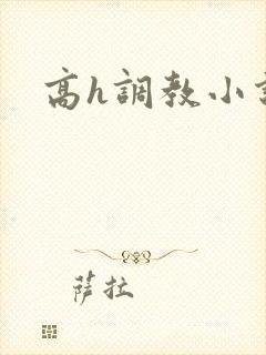 高h调教小说封面