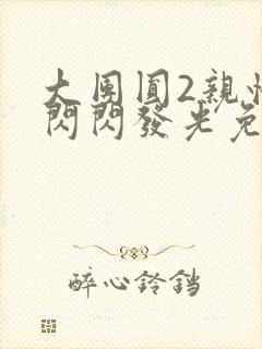 大团圆2亲情会闪闪发光免费