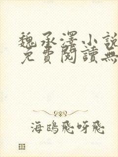 魏承泽小说全文免费阅读无弹窗笔趣