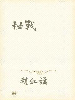 秘战