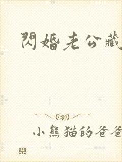 闪婚老公藏不住