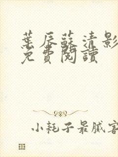 叶辰苏清影全文免费阅读