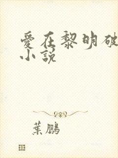 爱在黎明破晓前小说