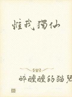 惟我独仙封面