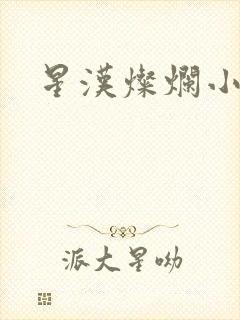 星汉灿烂小说