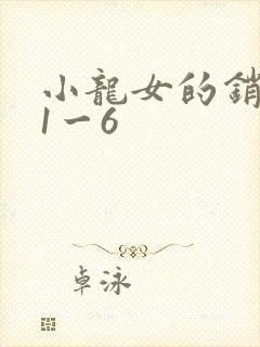 小龙女的销魂夜1一6封面