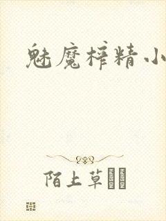 魅魔榨精小说封面
