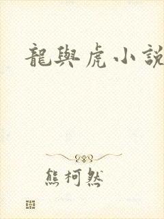 龙与虎小说封面