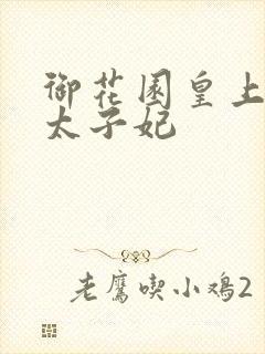 御花园皇上撞着太子妃