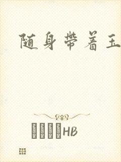 随身带着玉如意封面