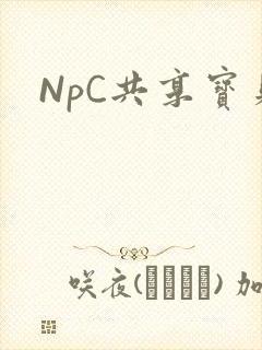 NpC共享宝贝封面