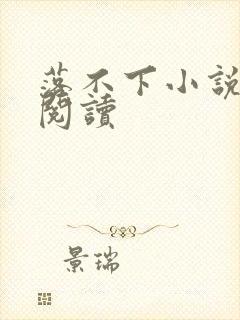 落不下小说免费阅读