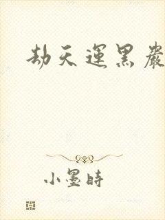 劫天运黑岩封面
