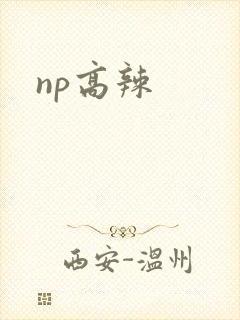 np高辣