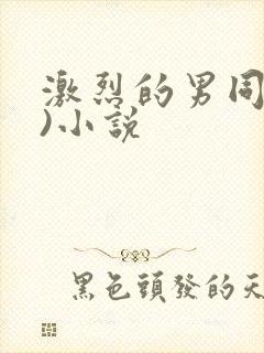 激烈的男同(h)小说