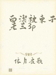 白洁被东子老二老三3p