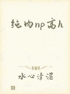 纯肉np高h