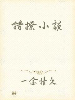 错撩小说